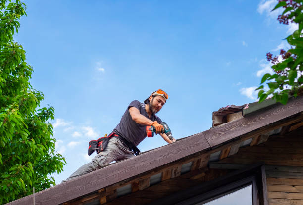 Best Steel Roofing  in Osceola, MO